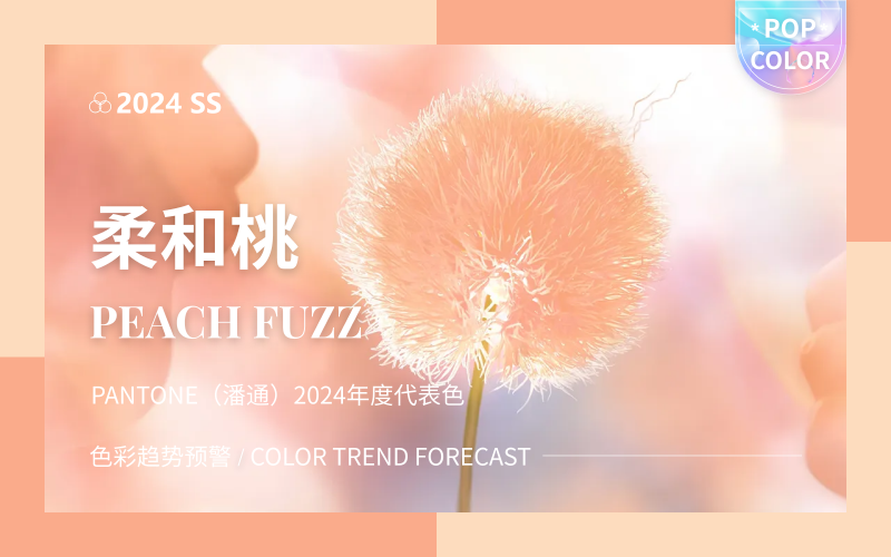 柔和桃 Peach Fuzz -- PANTONE（潘通）2024年度代表色
